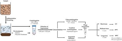 Bacteriophages in Biological Wastewater Treatment Systems: Occurrence, Characterization, and Function